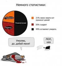 А как же котики?)))