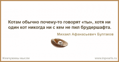 Если вам, как и Стерлигову, кругом мерещатся пид***асы, то вам к одному специалисту стоит обратиться.
