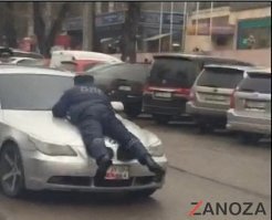Автовсячина. Фигурки на капотах