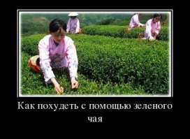 Кушаем и худеем: 5 продуктов, которые реально сжигают жир