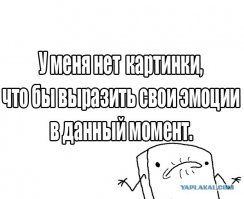 Это вообще законно? Почти двадцать воплощений неслыханной наглости