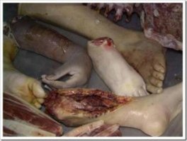 Тайланд. Хлеб в виде разлагающихся частей тела. Идея принадлежит бывшему скульптору Вичаю Сингвонгу. Вичай Сингвонг сам из семьи пекарей. Ему удалось убедить своего отца, владельца собственной пекарни, попробовать продавать людям расчлененку. Он клянется, что эти  люди  из муки очень вкусные.  Когда люди видят эти куски человеческих тел, они не хотят их есть, но когда все же решаются попробовать, то понимают, что это обычный хлеб . Кстати, такой хлеб популярен среди элитной публики.