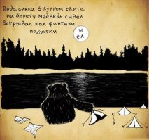 Как следует вести себя при встрече с медведем