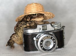 Лицо выглядит грубее по пикселям, чем всё остальное. Нету тени от шляпы. Шляпа на столько мала по отношению к лицу, что как будто у женщины нету волос, от слова совсем.