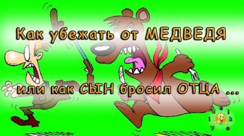 Как следует вести себя при встрече с медведем