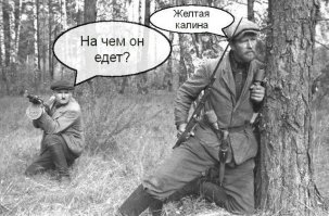 Парад победителей. Как партизаны отметили победу над фашизмом