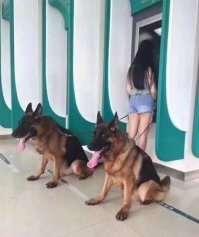 Зеркальный ПИН-код спасет от грабителей