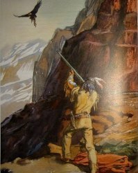 В Киргизии беркут атаковал ребенка: видео