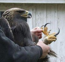 Можно сказать, что девочка очень легко отделалась...