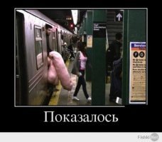 15 самых удачных летних кадров