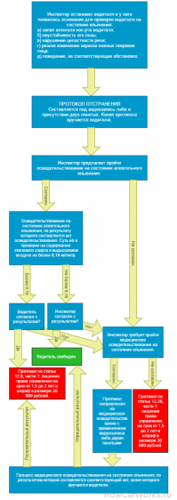 «Палка в колесо» инспектору ДПС. Знай, что нужно потребовать, перед тем как продуть в алкотестер