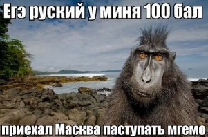 Самые умные: почему осетины поступают в МГИМО без экзаменов