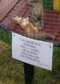 20 объявлений, от мастеров своего дела