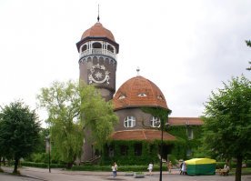 Светлогорск