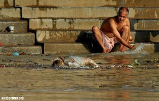 У меня зубные щётки в ванной, а унитаз - в туалете. И это нормально.
Так и должно быть.
А если кто-то хочет зубы чистить с водой из Ганга - так это его проблемы. Но не надо навязывать такую антисанитарию другим.