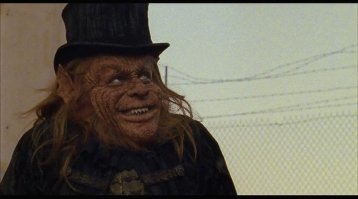 15 самых удачных летних кадров