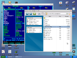 Про калибри не забывайте. Это очень важный проект.
kolibrios.org/ru/index