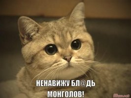 Увидеть кошку в юрте у монголов - невероятная редкость и даже странность. Дело в том, что традиционно монголы относятся к кошкам крайне негативно, вплоть до ненависти. Это отвратительные существа по мнению монголов. Существует даже монгольская поговорка: "Собака желает своему хозяину жизни, а кошка - смерти". А еще монголы рассказывают, что они не любят кошек и опасаются их потому, что они могут задушить маленького ребёнка или спящего мужчину.

Причины стоит поискать в истории. Современные монголы являются наследниками кочевников. Естественно, издавна они взаимодействовали с собаками, которые помогали загонять скот и предупреждали об опасности. А вот кошки кочевникам никогда не были нужны. Это у оседлых народностей кошки играли роль защитников от нашествия грызунов, и поэтому почитались и заводились как домашние животные. А вот у монголов не было складов для хранения зерна, а соответственно не было и потребности в кошках. В результате они не могли в полной мере прочувствовать пользу от этих пушистых комочков, которые на первый взгляд только спят да едят целый день. При этом периодически кочевники сталкивались с дикими представителей семейства кошачьих (а в Монголии и по сей день обитает около 25% всей популяции снежных барсов в мире) которых назвать  пушистыми комочками счастья  язык не повернется: барсы исправно воровали скот и помешать им в этом никто не мог.