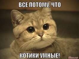 Картинки с надписями для настроения