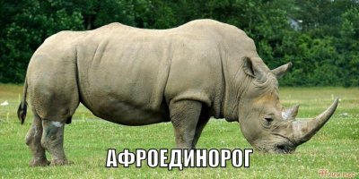 Картинки с надписями для настроения