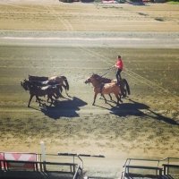 Я этого кажись уже видел