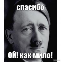 Собака стащила у хозяина камеру и попробовала себя в роли видеооператора