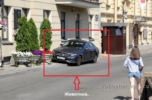 Бродя по Санкт-Петербургу