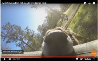 Да ну, что вы, какая постановка, тем более, что использовать камеру от покрышки в качестве серфи-палки, это в порядке вещей. Я, например, вместо серфи-палки использую камеру от велосипеда, ну потому, что у меня велосипед есть, а селфи-палки нету )))