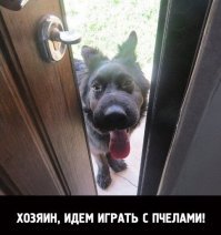 55 причин, почему женщины живут дольше мужчин