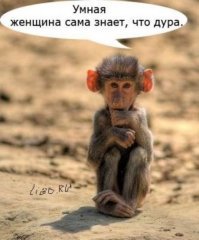Открытки из коллекции. Часть 3