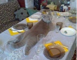 Средний класс по-монгольски