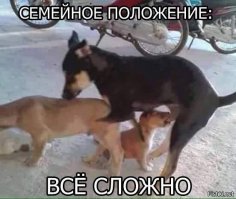 Пара договорилась пожениться, если в 40 лет они будут одиноки - и они сдержали слово!