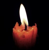 Пять лет без Горшка