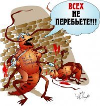 Не так давно все дико удивлялись исчезновению тараканов и тут на тебе!