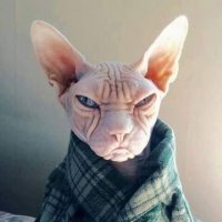 Водитель рено все слышал )