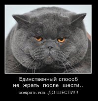 Открытки из коллекции. Часть 3