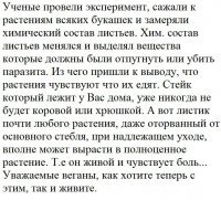 Картинки с надписями для настроения