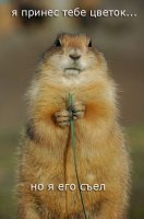 Картинки с надписями для настроения