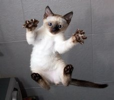 Ну да, лучше не оборачиваться, ибо там вот это!!!