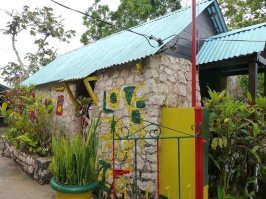 В кадках шмаль должна расти, а не ботва какая-та