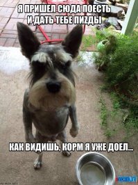 Собака изгнала беса из "одержимого"