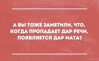 Веселые фотки с надписями