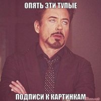 Эти собаки так трогательно выпрашивают еду, что им невозможно отказать!