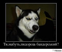 они хотя бы у меня есть