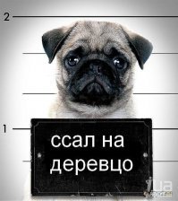 Он и в детстве был не лучше :)