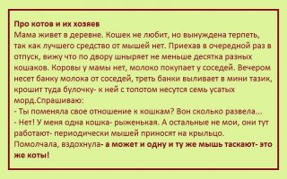 Это вообще законно? Почти двадцать воплощений неслыханной наглости