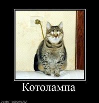 Странная находка в ноутбуке за все годы работы в сервис-центре