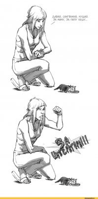 Прикольные картинки