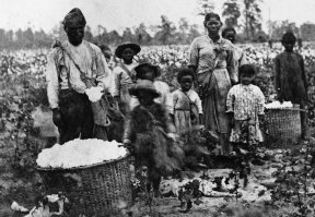 Негры-рабы когда-то просто за то, чтобы жить арбайтали на своих хозяев - носителей демократии.