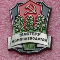 Веселые фотки с надписями